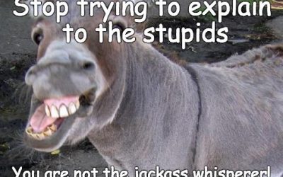 Are You a Jackass Whisperer?