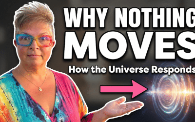 How the Universe Responds